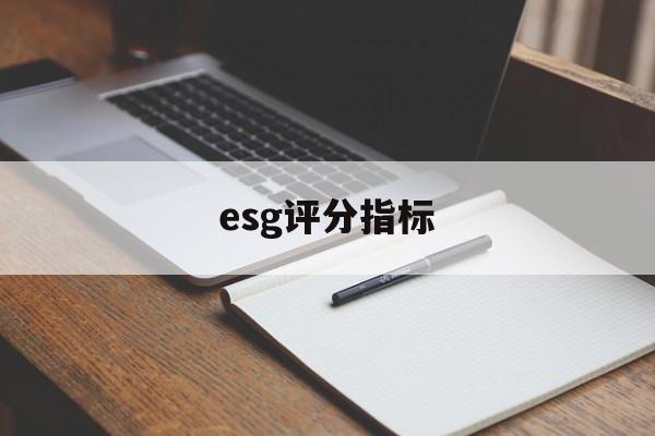 esg评分指标(esspri评分表)